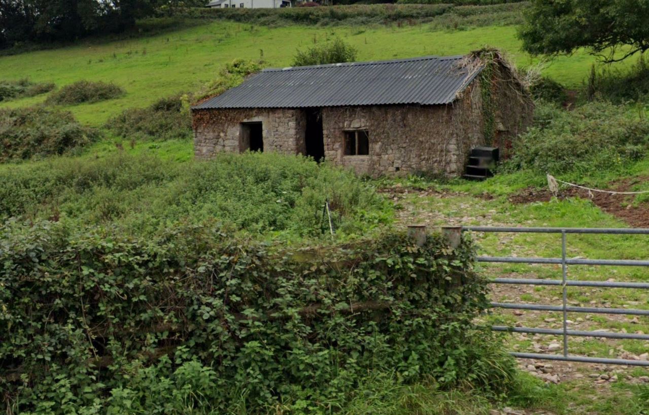 news.wales / newyddion.cymru